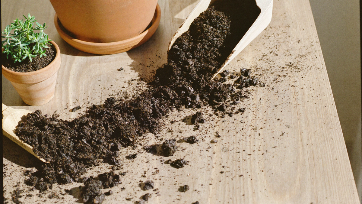 Dark crumbly potting mix spilling from a wooden scoop onto a pale wooden table beside a terracotta pot