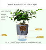 Cutaway diagram showing soil above, water reservoir below, and the cotton rope connecting them