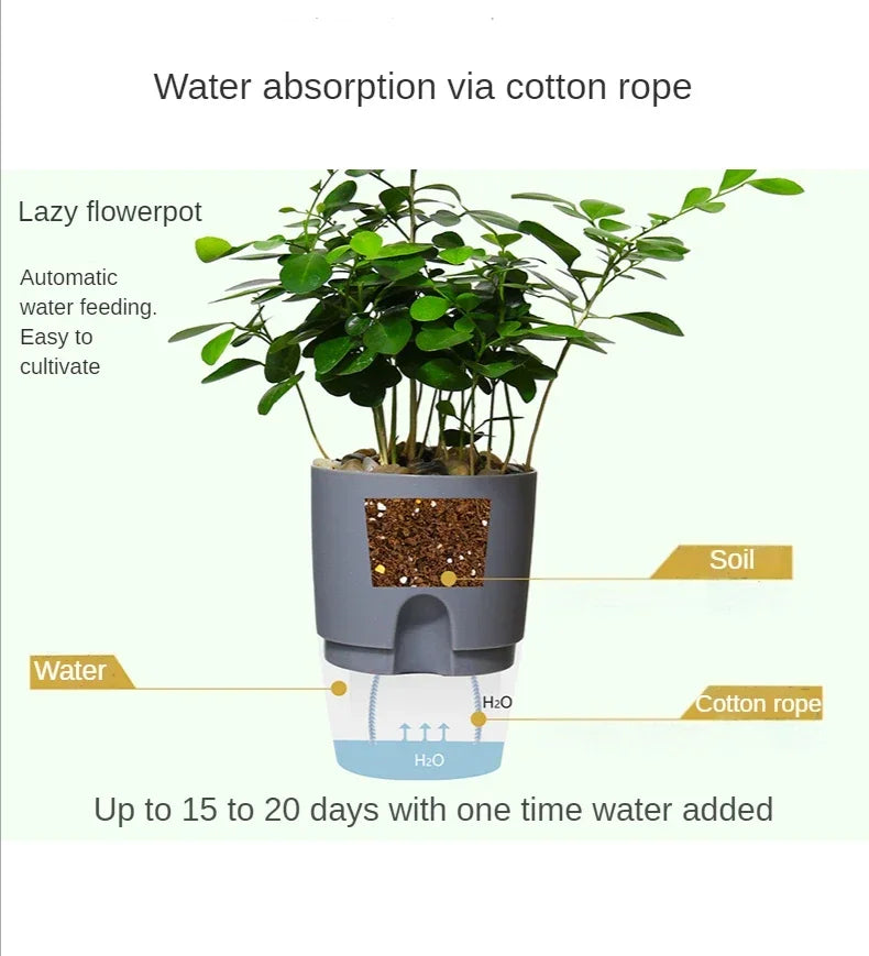 Cutaway diagram showing soil above, water reservoir below, and the cotton rope connecting them