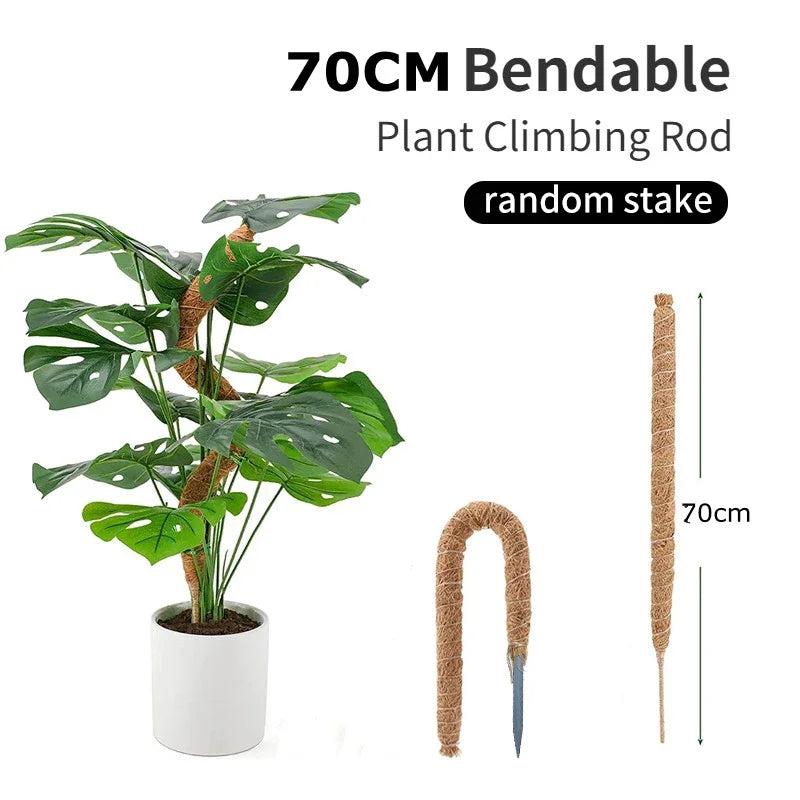 The 27.6 in (70 cm) bendable coir pole shown straight and curved, next to a potted monstera