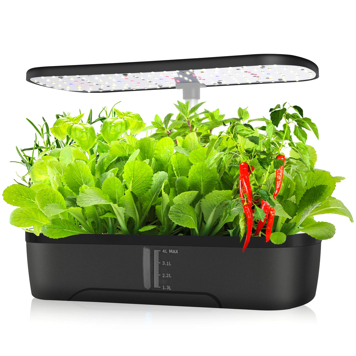 Hydroponic Herb Garden with LED Light, 12 Pods
