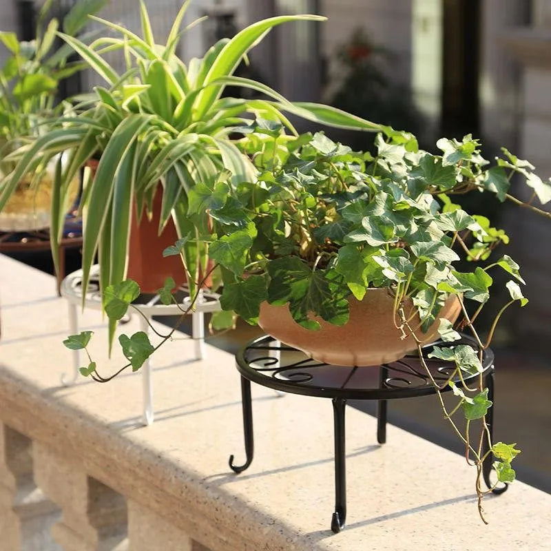 Scrolled Iron Pot Stand, 9 in