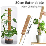 The 11.8 in (30 cm) rigid climbing rod shown beside a pothos growing on a coir pole