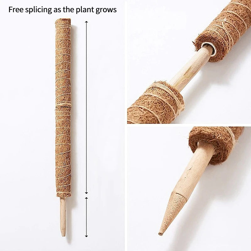 A coir pole separated from its wooden stake, showing how the parts fit together