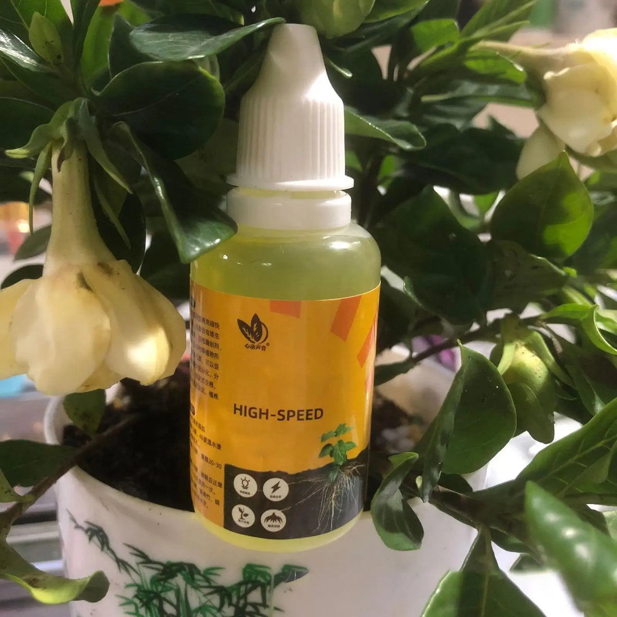 Liquid Rooting Stimulator, 50 ml