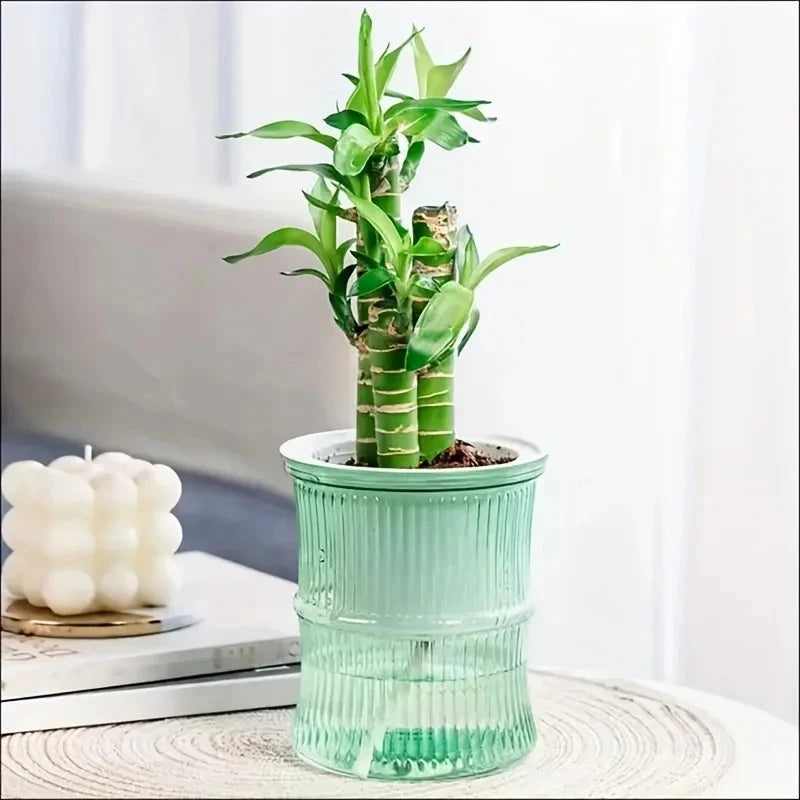 Two-Layer Planter with Clear Reservoir, 4.1 in