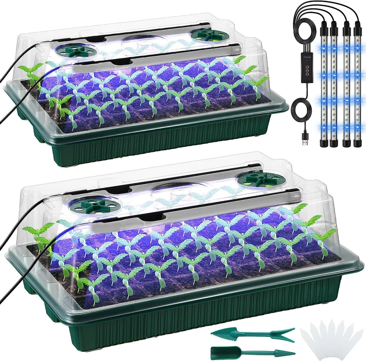 Seed Starter Kit with Grow Lights, 80 Cells