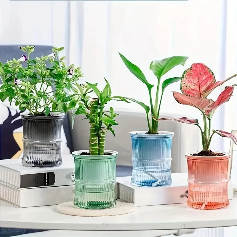 Two-Layer Planter with Clear Reservoir, 4.1 in