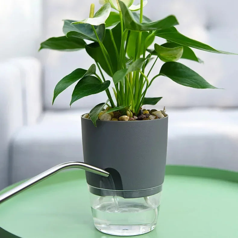 Gray planter holding a peace lily, being filled through the side port