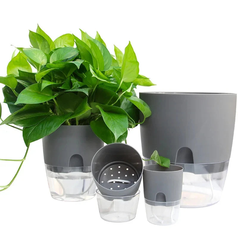 Several planters shown disassembled alongside a pothos plant