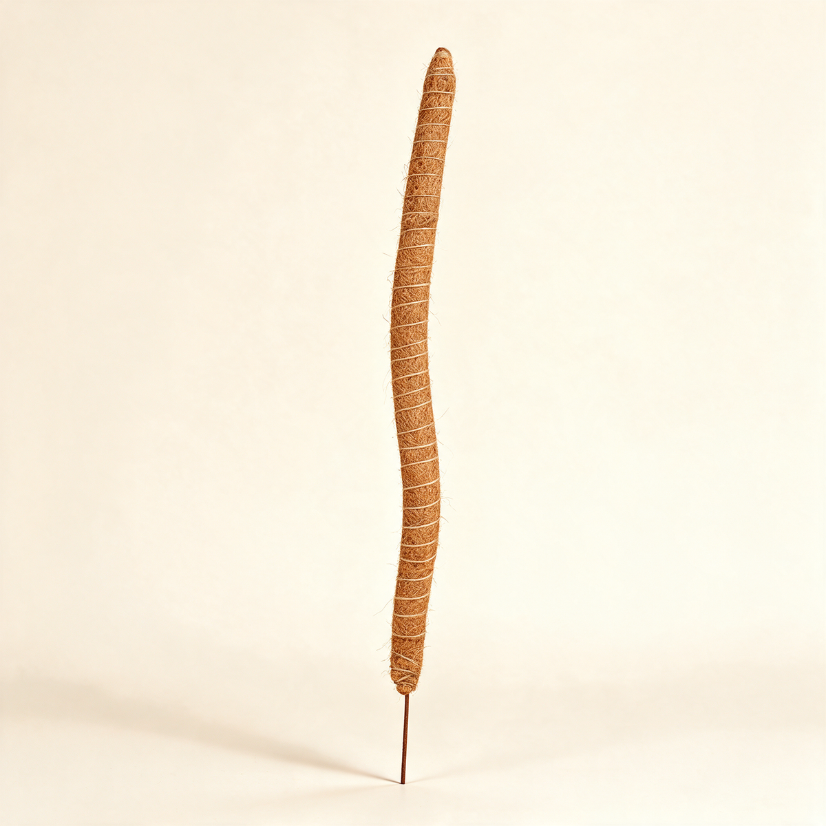 Flexible coir plant pole with a metal base for climbing houseplants.